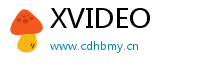 XVIDEOLogo