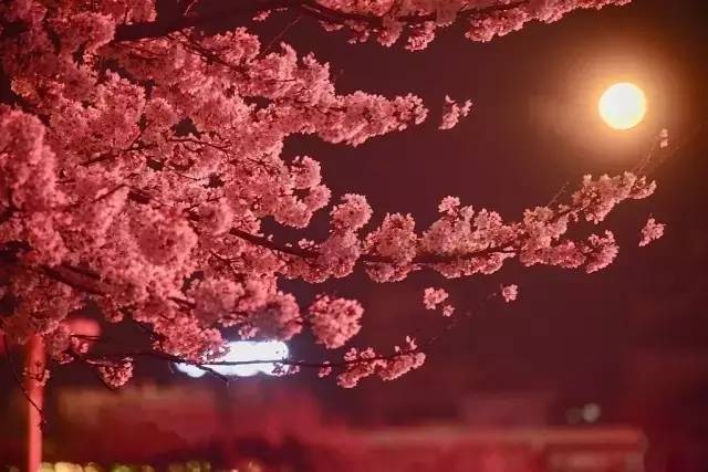 再次出发之纽约遇见你